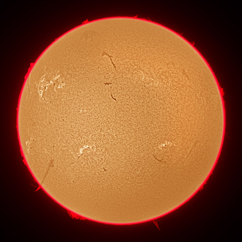 11月22日の太陽面