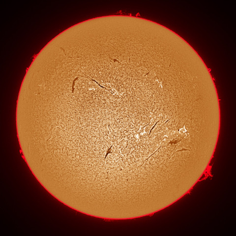 03月11日の太陽面