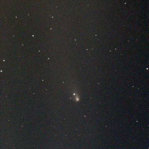 紫金山・アトラス彗星：Seestar S50：24/11/19