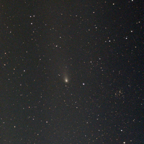 紫金山・アトラス彗星：Seestar S50：24/12/02