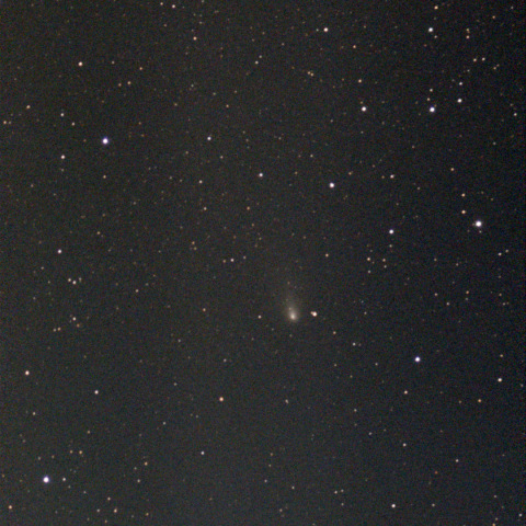 紫金山・アトラス彗星：Seestar S50：24/12/05
