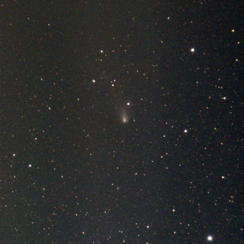 紫金山・アトラス彗星：Seestar S50：24/12/09