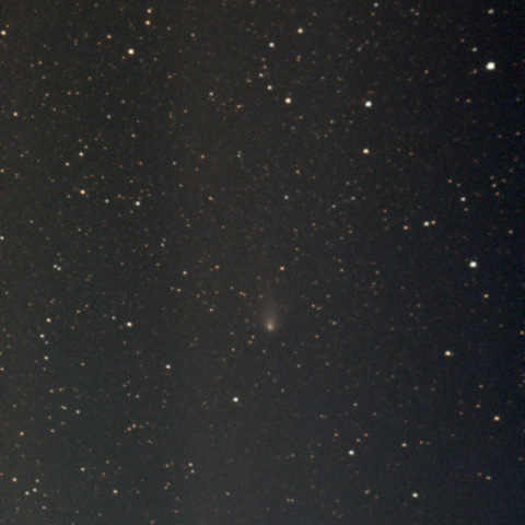 紫金山・アトラス彗星：Seestar S50：24/12/14