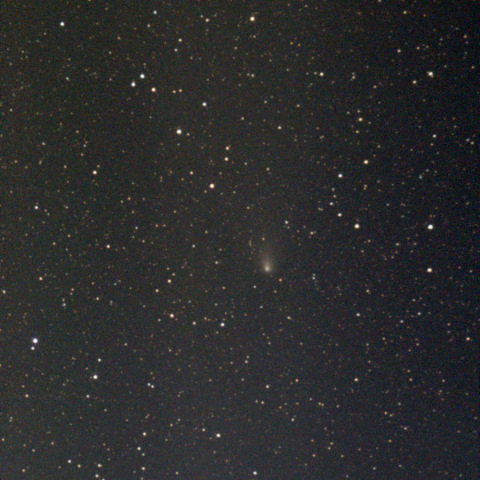 紫金山・アトラス彗星：Seestar S50：24/12/15