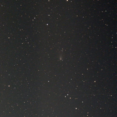 紫金山・アトラス彗星：Seestar S50：24/12/17