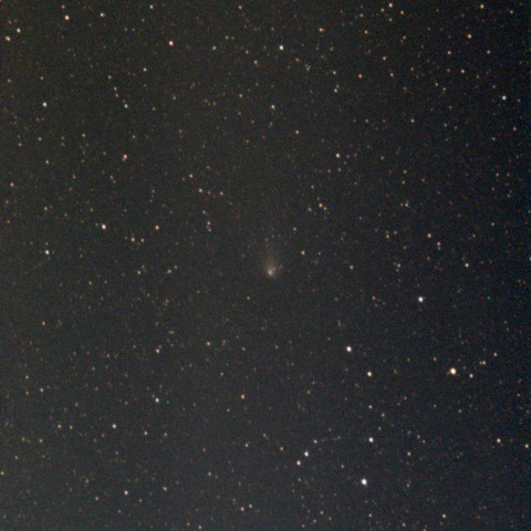 紫金山・アトラス彗星：Seestar S50：24/12/19