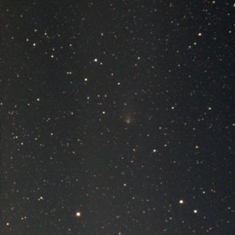 紫金山・アトラス彗星：Seestar S50：24/12/24