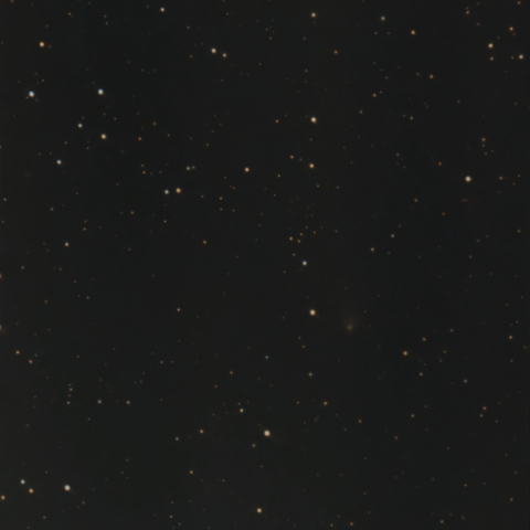 紫金山・アトラス彗星：Seestar S50：24/12/31