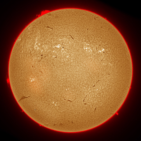 11月02日の太陽面