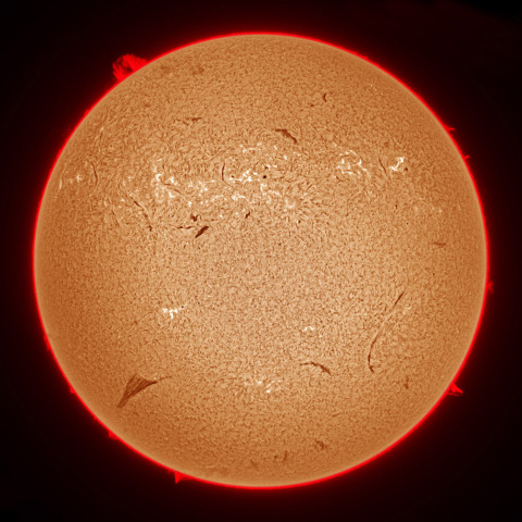 11月03日の太陽面
