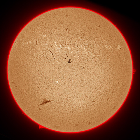 11月04日の太陽面