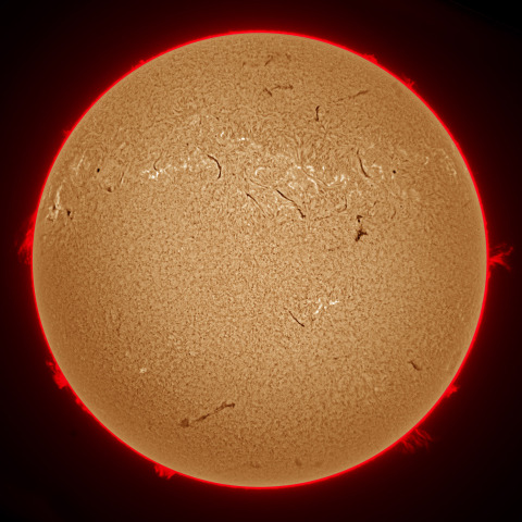 11月06日の太陽面