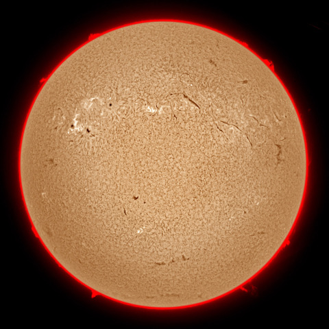 11月08日の太陽面