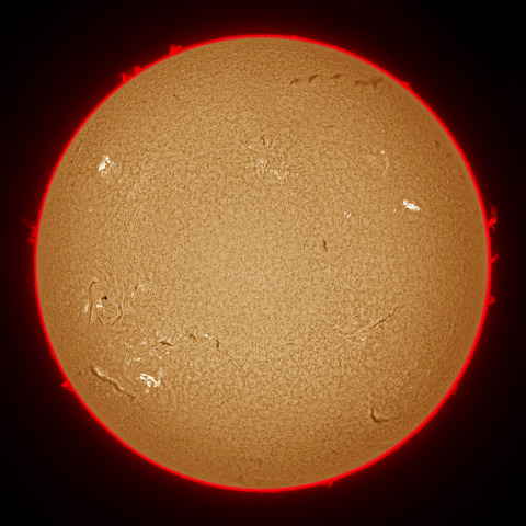 11月19日の太陽面
