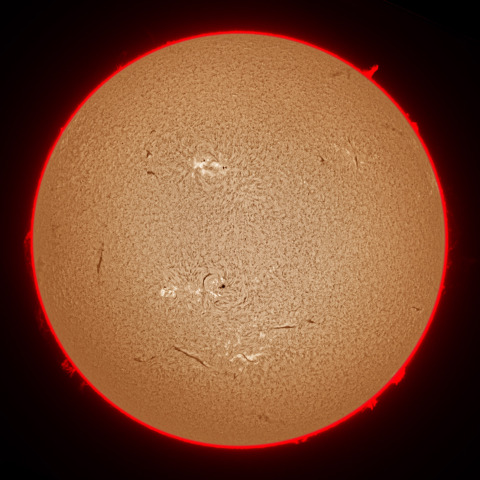 11月22日の太陽面