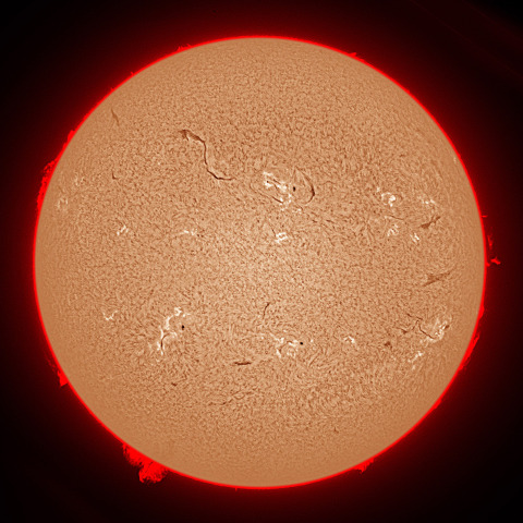 6月24日の太陽面