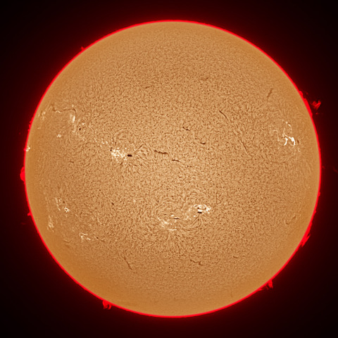 7月30日の太陽面