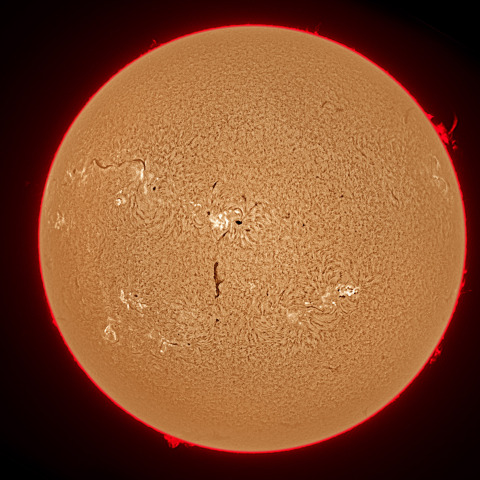 7月31日の太陽面