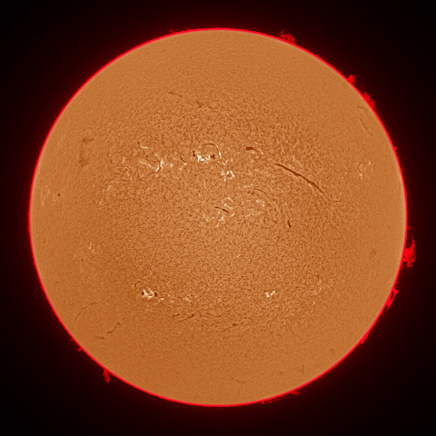 8月16日の太陽面