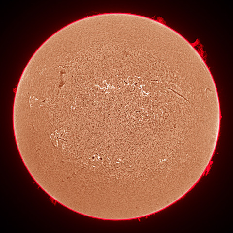 8月17日の太陽面