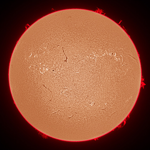 8月19日の太陽面