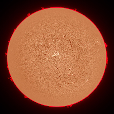 8月21日の太陽面