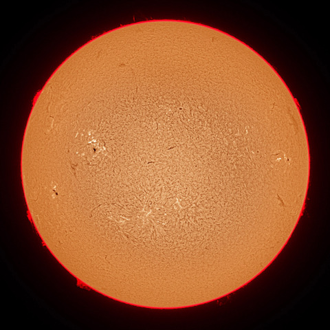 8月25日の太陽面