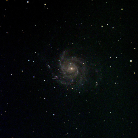 超新星2023ixf (2023/10/11)