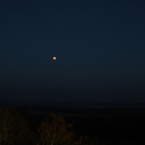 釧路湿原に昇る月