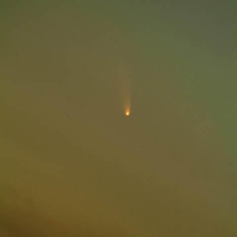 パンスターズ彗星（3/12）