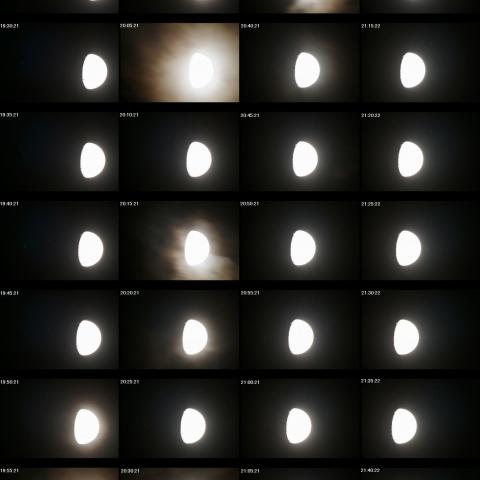 すばる食 2010.01.25