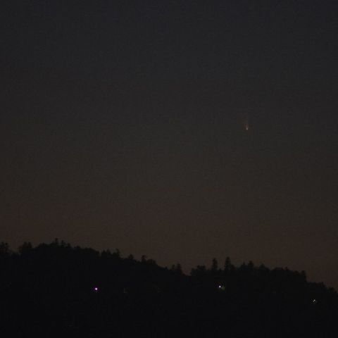 高尾山とパンスターズ彗星