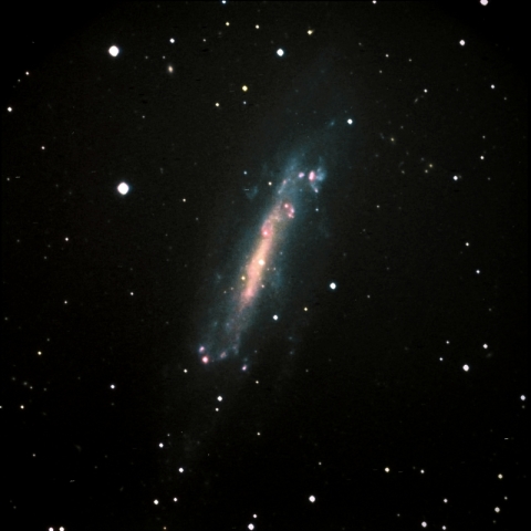 NGC4236