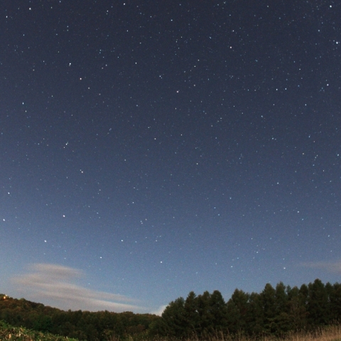 月光下による北の空