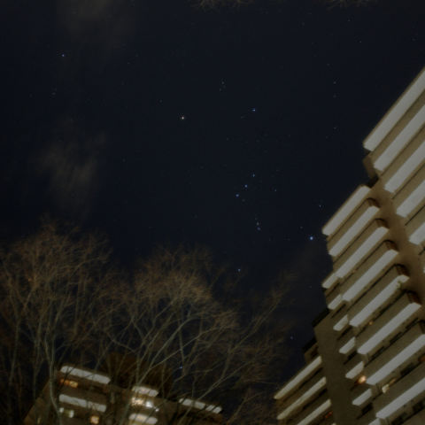 大晦日のオリオン座