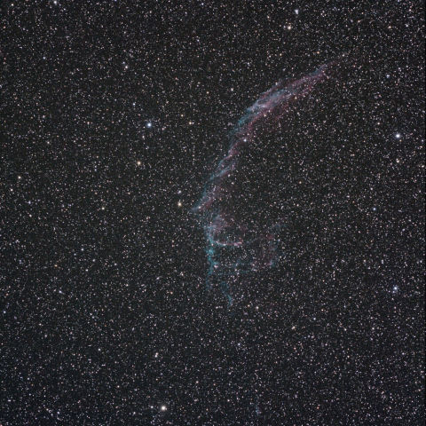 はくちょう座、網状星雲