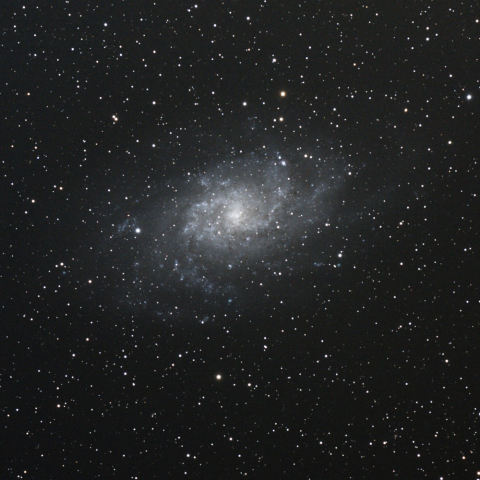M33