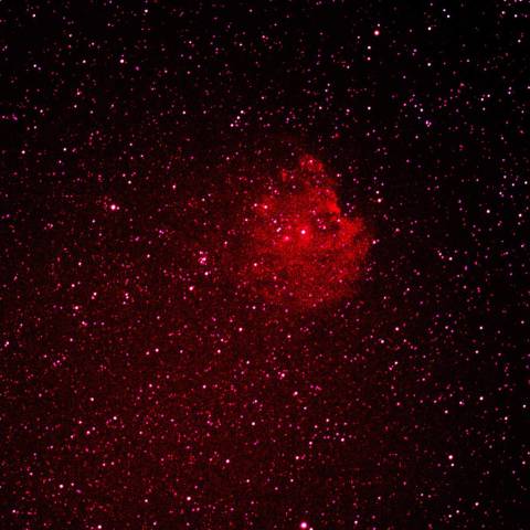 モンキーフェイス星雲20170930