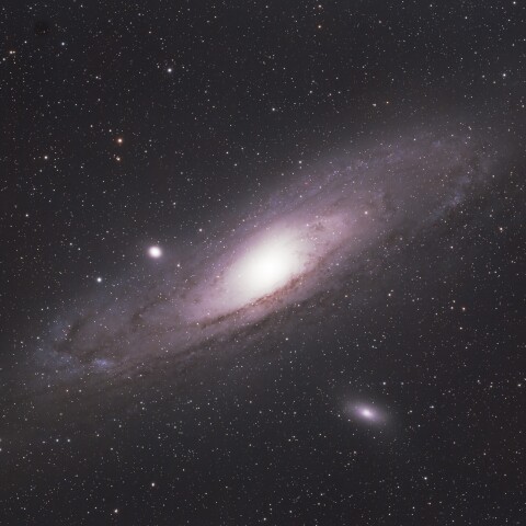 M31