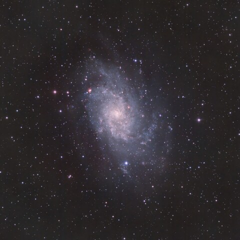 M33