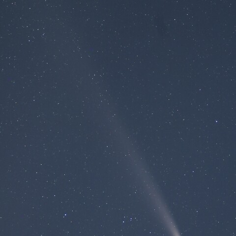紫金山・アトラス彗星