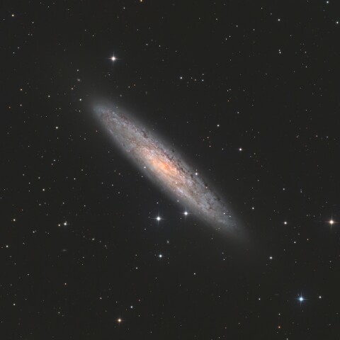 NGC253