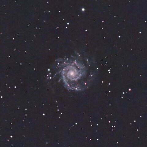 M74