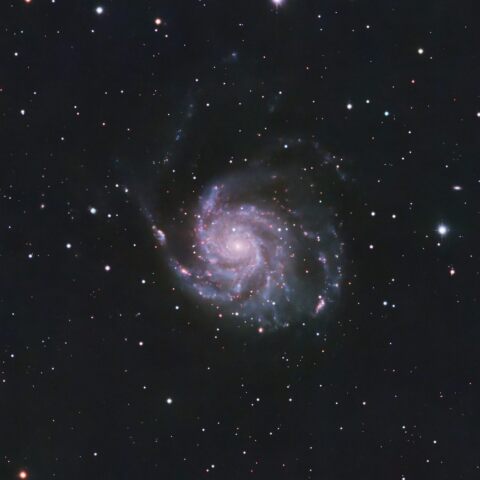 M101