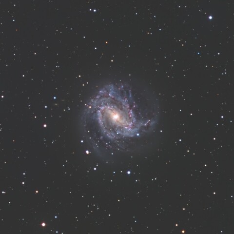 M83 by リコリモ