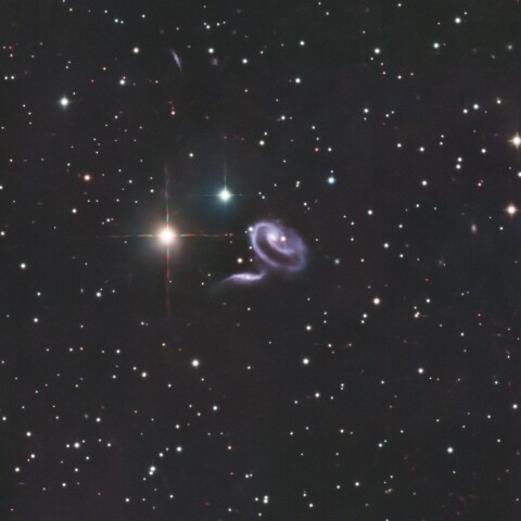 Arp273