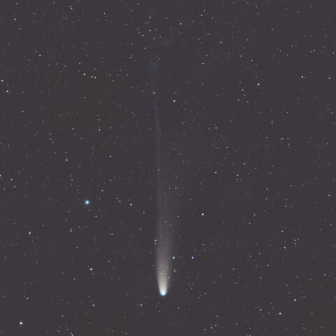 レモン彗星（C/2025 A6）