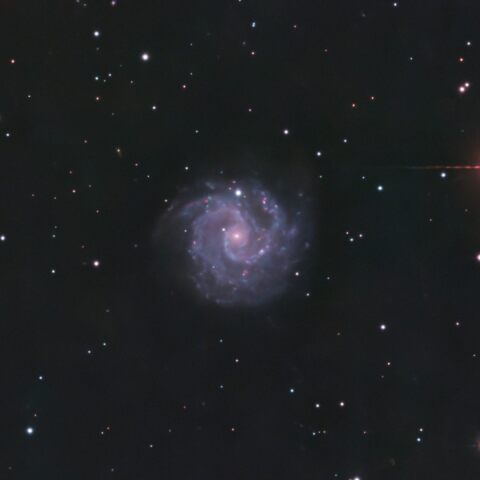 NGC3184