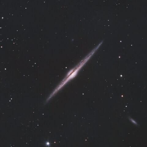 NGC4565