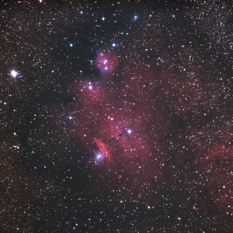 NGC6559